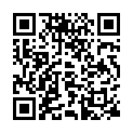 [Ohys-Raws] Tetsuwan Birdy Decode - 11 (AT-X 1280x720 x264 AAC).mp4的二维码