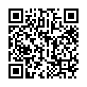 2008一級方程式-新加坡站-賽前報導+正賽的二维码