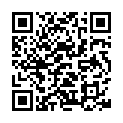 [151231-1830]ダウンタウンのガキの使いやあらへんで！！絶対に笑ってはいけない名探偵２４時 (NTV).ts的二维码