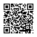 朹京25時 大都会不倫事情 VO28(GSX030).rmvb的二维码