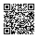 Black Mirror 2017 – 4ª Temporada Completa [WEB-DL] (720p) WWW.BLUDV.COM的二维码