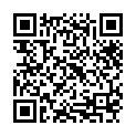 無修正-fc2ppv-1657528-会社受付の美人ol-返済期限切れのため４本の他人棒が車内で利息を貰う.mp4的二维码