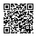 Mr. Robot (2015) Season 2 S02 + Extras (1080p BluRay x265 HEVC 10bit AAC 5.1 RCVR)的二维码