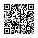 20111225-083000-メタルファイト　ベイブレード　４Ｄ「ディアブロネメシス」[字].ts的二维码